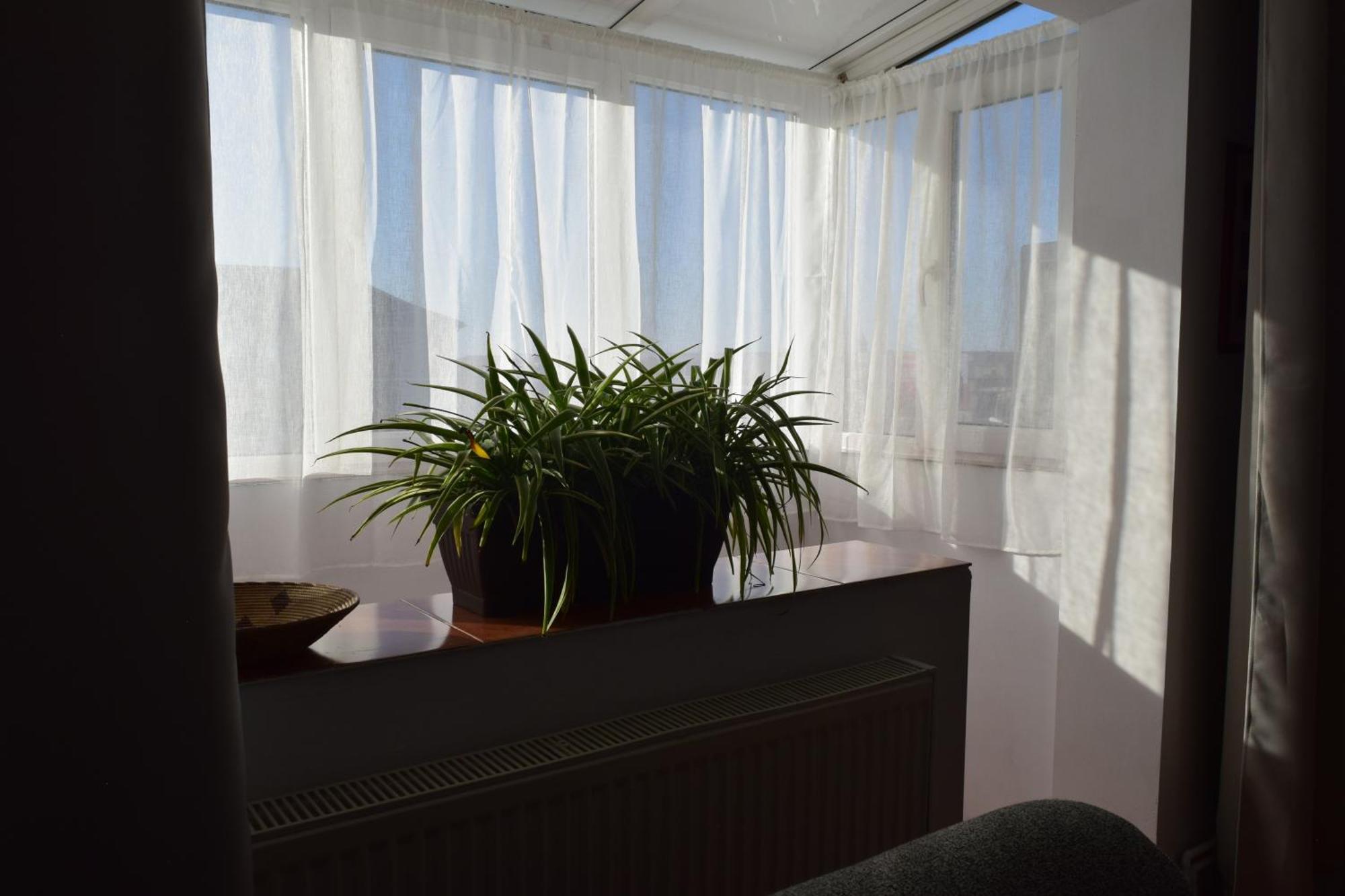 Apartament Simina Timişoara Extérieur photo